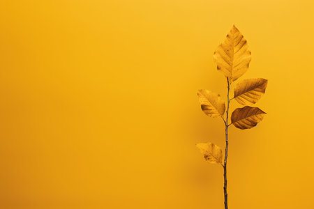 Autumn leaves on a yellow background with copy space for your textの素材