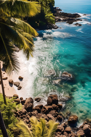 Tropical beach with palm trees and rocks. Nature composition.の素材