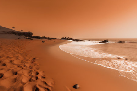 Beautiful seascape with sandy beach and ocean waves. Toned.の素材