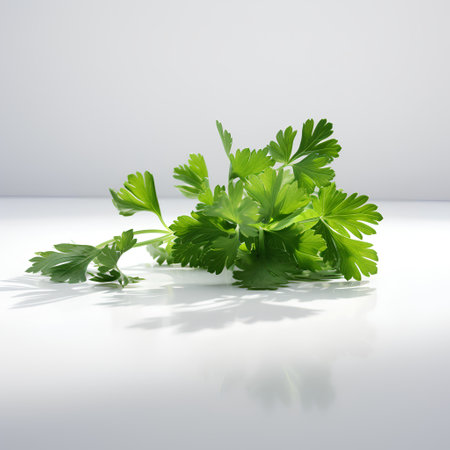 Parsley isolated on white background. 3d render illustration.の素材