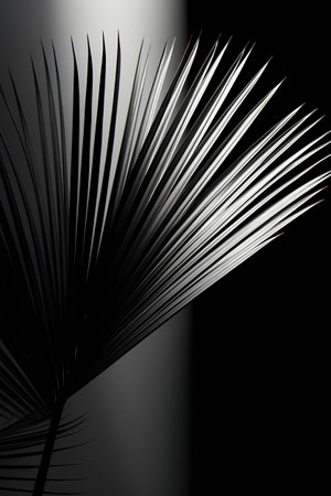 Black and white palm leaf on a black background. Vector illustration.の素材