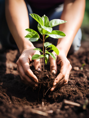 Hands of a young woman planting a small tree in the groundの素材