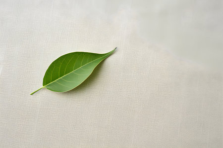 Green leaf on a white background. Flat lay, top view.の素材
