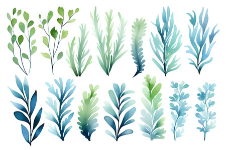 Set of watercolor green and blue leaves isolated on white background. Vector illustration.の素材