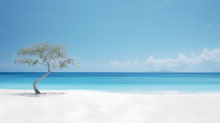 beach and tree on sand with blue sky, 3d renderの素材