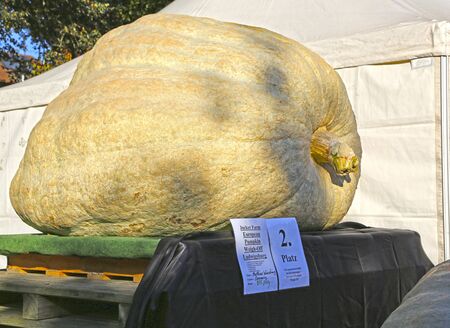 Ludwigsburg, Germany-October 16, 2016: The worldâs largest pumpkin festival at the Ludwigsburg Palaceのeditorial素材