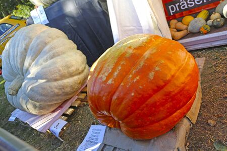 Ludwigsburg, Germany-October 16, 2016: The worldâs largest pumpkin festival at the Ludwigsburg Palaceのeditorial素材