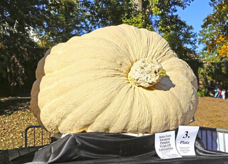 Ludwigsburg, Germany-October 16, 2016: The worldâs largest pumpkin festival at the Ludwigsburg Palaceのeditorial素材