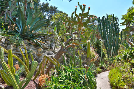 Nice, France- June 17, 2014: landscape garden Villa Ephrussi de Rothschild in Saint Jean Cap Ferratのeditorial素材