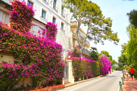 Monaco City, Monaco - June 13, 2014: picturesque narrow street in the old townのeditorial素材