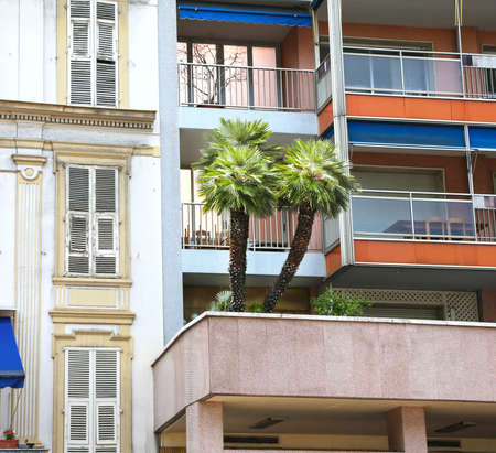 Monaco, Monaco - June 13, 2014: palm trees growing on the balcony of a multistory buildingのeditorial素材