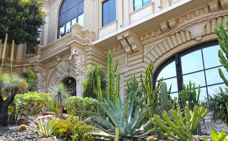 Monte-Carlo, Monaco - June 13, 2014: tropical southern plants in the park near the opera house and casinoのeditorial素材