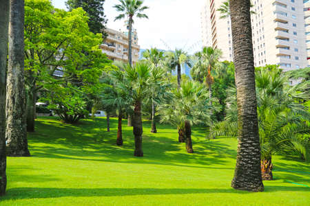 Monte-Carlo, Monaco - June 13, 2014: the gardens of little Africa near the casino and the opera houseのeditorial素材
