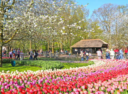 Lisse, Netherlands - April 21, 2018: Keukenhof gardens with beautiful flower beds.のeditorial素材