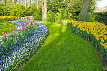 Lisse, Netherlands - April 21, 2018: Keukenhof gardens with beautiful flower beds.のeditorial素材