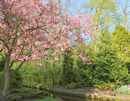 Lisse, Netherlands - April 21, 2018: Keukenhof gardens with beautiful flower beds.のeditorial素材