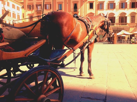 Carriage in Florenceの素材
