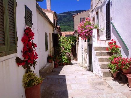 Picturesque street in Sant Ilario, Elba Island, Italyの素材