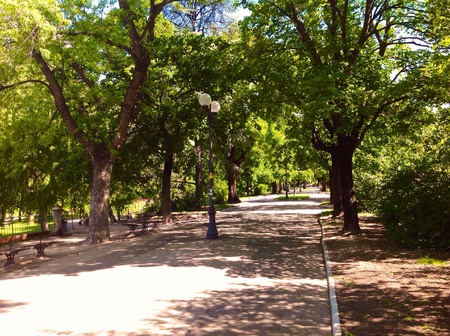 Urban park in Bolzano / Bozenの素材