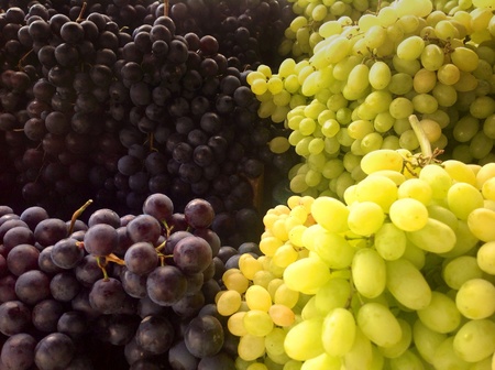 Grapes