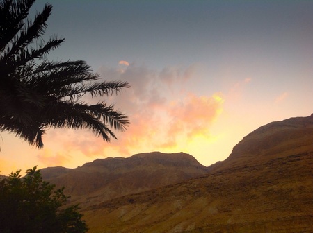 Sunset in the desert
