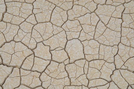 Crackle dry clay ornamental patternの写真素材