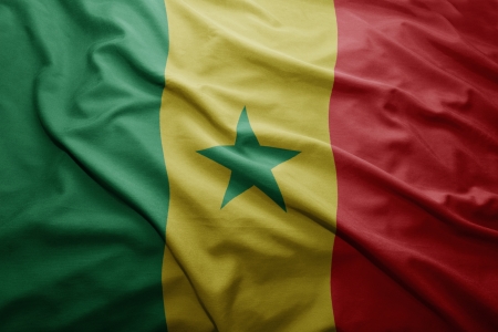 Waving colorful Senegalese flagの写真素材