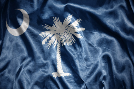 waving and shining south carolina state flagの写真素材