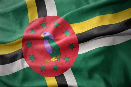 waving colorful national flag of dominica.の写真素材