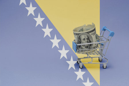Metal shopping basket with big dollar money banknote on the national flag of bosnia and herzegovina background. consumer basket concept. 3d illustrationの写真素材