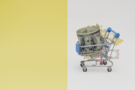 Metal shopping basket with big dollar money banknote on the national flag of vatican city background. consumer basket concept. 3d illustrationの写真素材