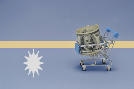 Metal shopping basket with big dollar money banknote on the national flag of Nauru background. consumer basket concept. 3d illustrationの写真素材