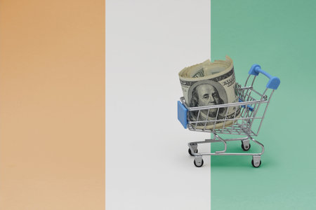 Metal shopping basket with big dollar money banknote on the national flag of cote divoire background. consumer basket concept. 3d illustrationの写真素材