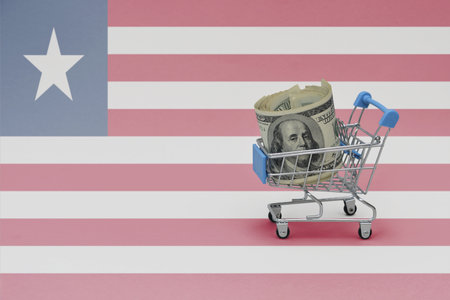 Metal shopping basket with big dollar money banknote on the national flag of liberia background. consumer basket concept. 3d illustrationの写真素材