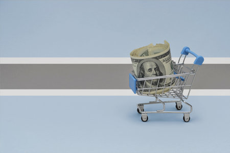 Metal shopping basket with big dollar money banknote on the national flag of botswana background. consumer basket concept. 3d illustrationの写真素材