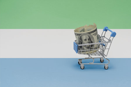 Metal shopping basket with big dollar money banknote on the national flag of sierra leone background. consumer basket concept. 3d illustrationの写真素材