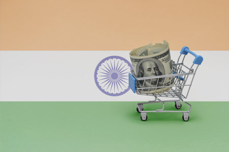 Metal shopping basket with big dollar money banknote on the national flag of india background. consumer basket concept. 3d illustrationの写真素材