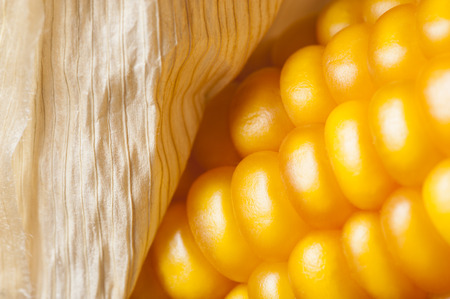 Macro of ear of corn for textured backgroundの写真素材