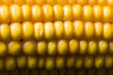 Macro of ear of corn for  textured background 