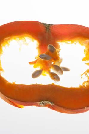 Closeup on one translucent slice of orange pumpkin with a little part of pulp and seeds  Shooting studio on white luminous background の写真素材