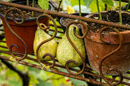 Metal flower standの写真素材