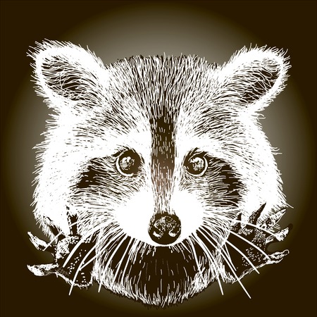 cute raccoon vector requests cuddle and snuggleのイラスト素材