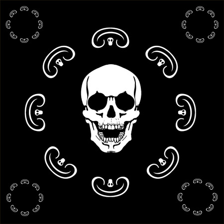 human skull made of flowers, vector illustrationのイラスト素材