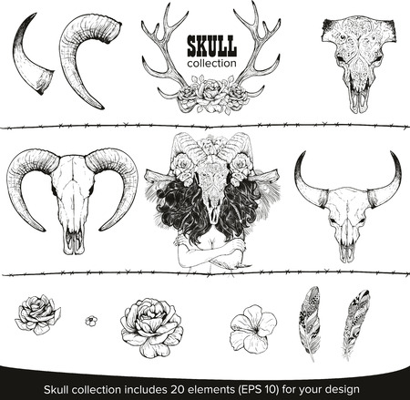 Abstract animal background line art. Set for your designのイラスト素材