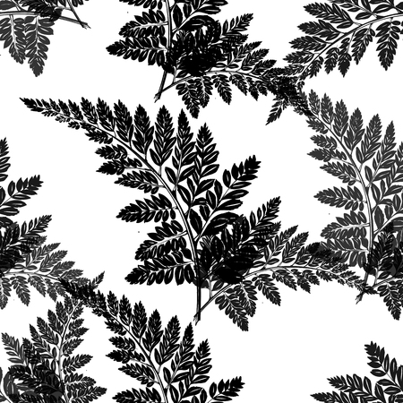 Seamless pattern with fern leavesのイラスト素材