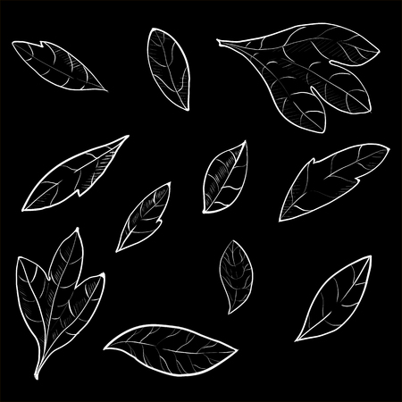 Set of hand drawn branches. Ink illustration.のイラスト素材