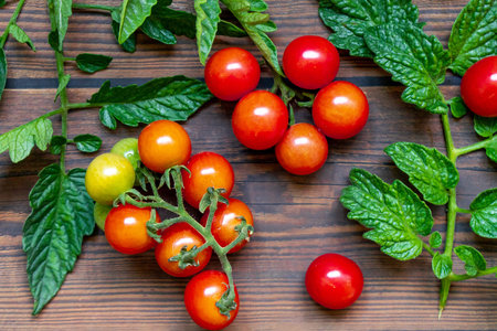 cherry tomatoes on wooden table background dark light leaves