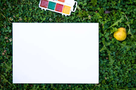 Paint brushes a white sheet of paper on a green clover grass. Fresh pear apples on grass.の写真素材