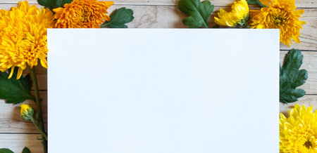 Chrysantemum autumn bouquet copy space blanc paper colored colorful mock upの写真素材