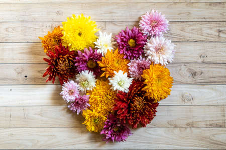 Chrysanthemian Chrysantemum autumn bouquet love heart colorfulの写真素材